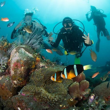 Bali Dive Resort Amed 外观 照片
